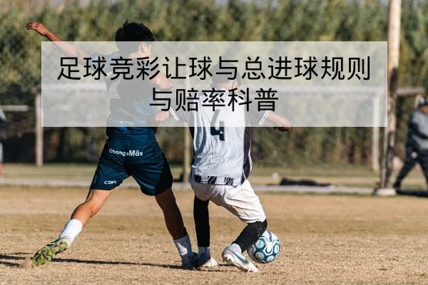 KPL春季赛赛程比分与队伍排名实时查询