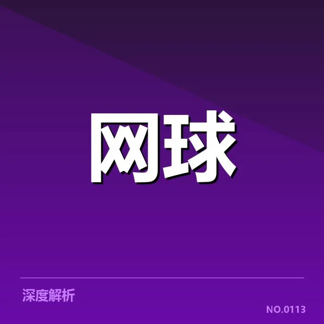 ATP巡回赛伤病恢复：运动员康复成效如何探讨 - leyu